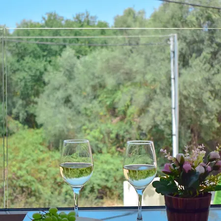 S & E דירה Lefkáda